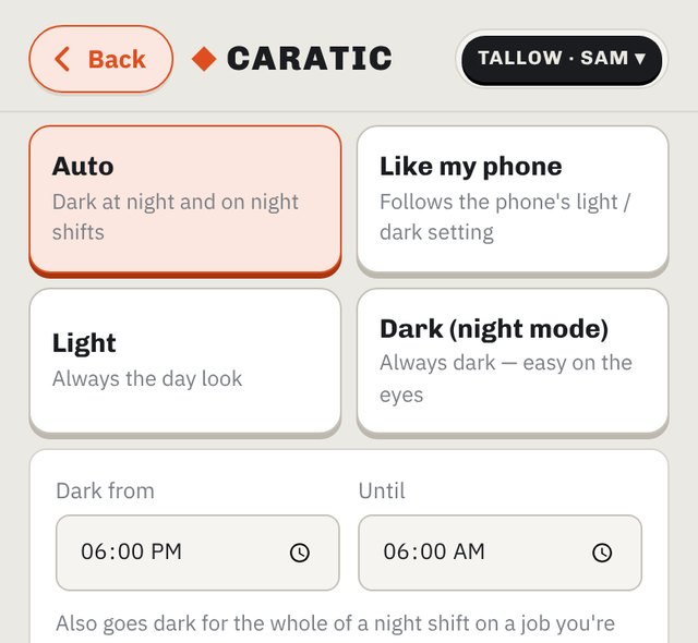 Display setting: Auto, Like my phone, Light, Dark